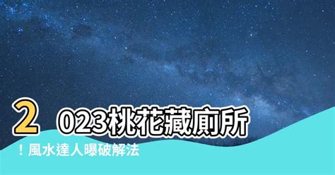 2023桃花位在洗手間|【2023桃花位在洗手間】祝你2023桃花朵朵開！竟只要放「1物件。